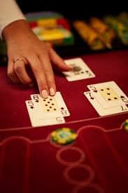 pakaviator Live Casino
